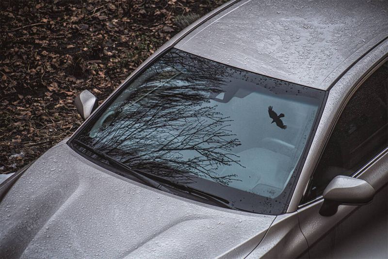 Through the Glass: Understanding Automobile Glass — Types, Functions & Innovations